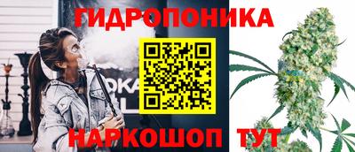 PSILOCYBIN Усть-Илимск