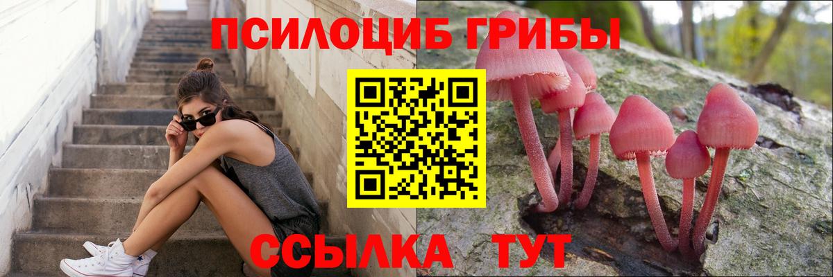 Галлюциногенные грибы MAGIC MUSHROOMS  Вход с VPN  Мариинск 